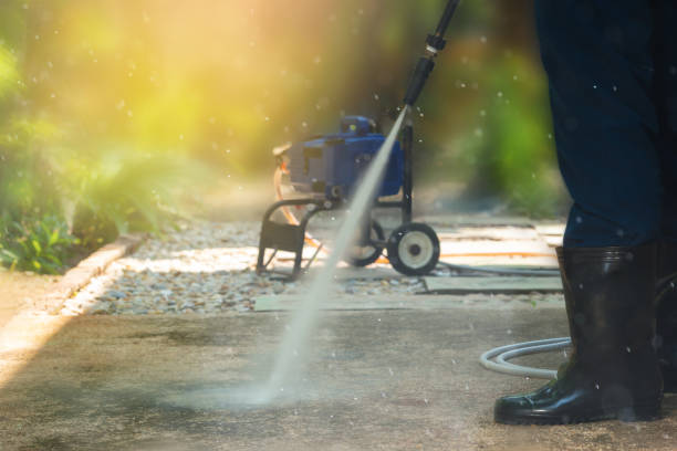 Best Animal Enclosure Cleaning  in Ashley, OH
